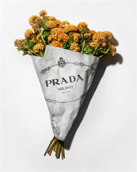 prada flower|Prada floral designs.